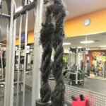 Anytime Fitness Drummoyne Gallery 10830 Sydney