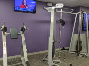 Anytime Fitness Mascot Sydney