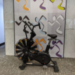 Anytime Fitness North Sydney Gallery 12191 Sydney
