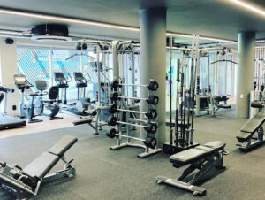 Anytime Fitness Surry Hills Sydney